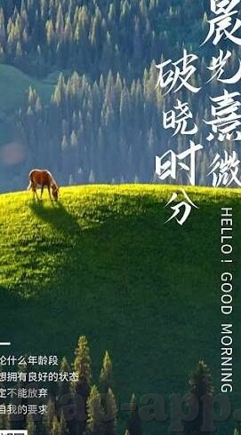 热门文章